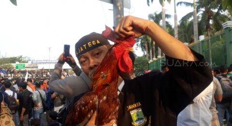 Ikut Aksi Mahasiswa, Jawara Banten Bawa Ayam Jago Tertancap Paku 12 Cm