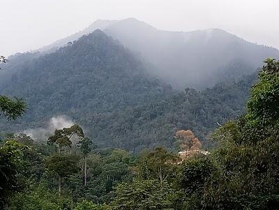 Tersesat Di Kaki Gunung Lumut.