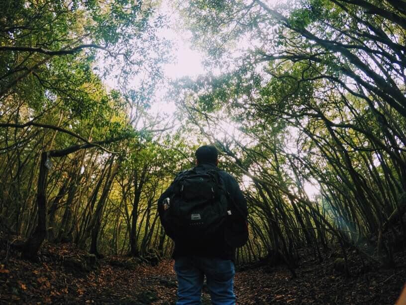 Tersesat Di Kaki Gunung Lumut.