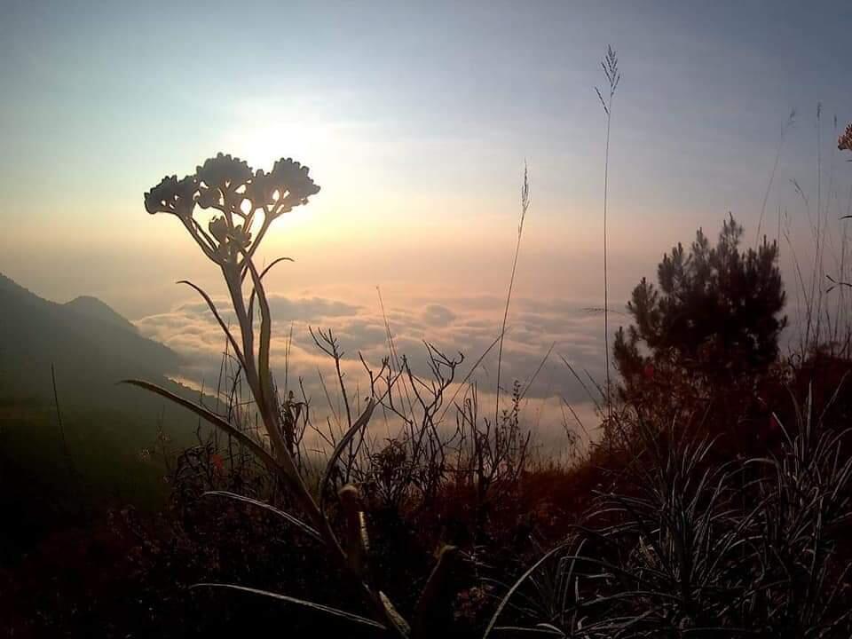 Misteri Gunung Lawu? Jangan Coba-Coba Melanggarnya