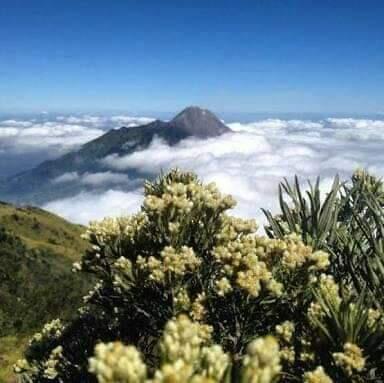 Misteri Gunung Lawu? Jangan Coba-Coba Melanggarnya