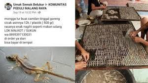 Penjual ayam goreng banyak,kalo penjual cicak goreng???