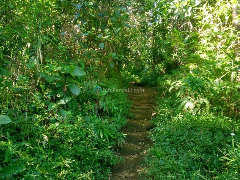 Merbabu Oh Merbabu, Sederet Makhluk Dunia Lain Menghalangi Menuju Puncakmu