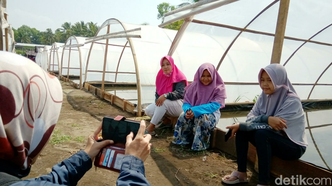 Bingung Mau Berlibur Kemana? Lihat Kampung Garam Kebumen, Instagramable Banget Gan!