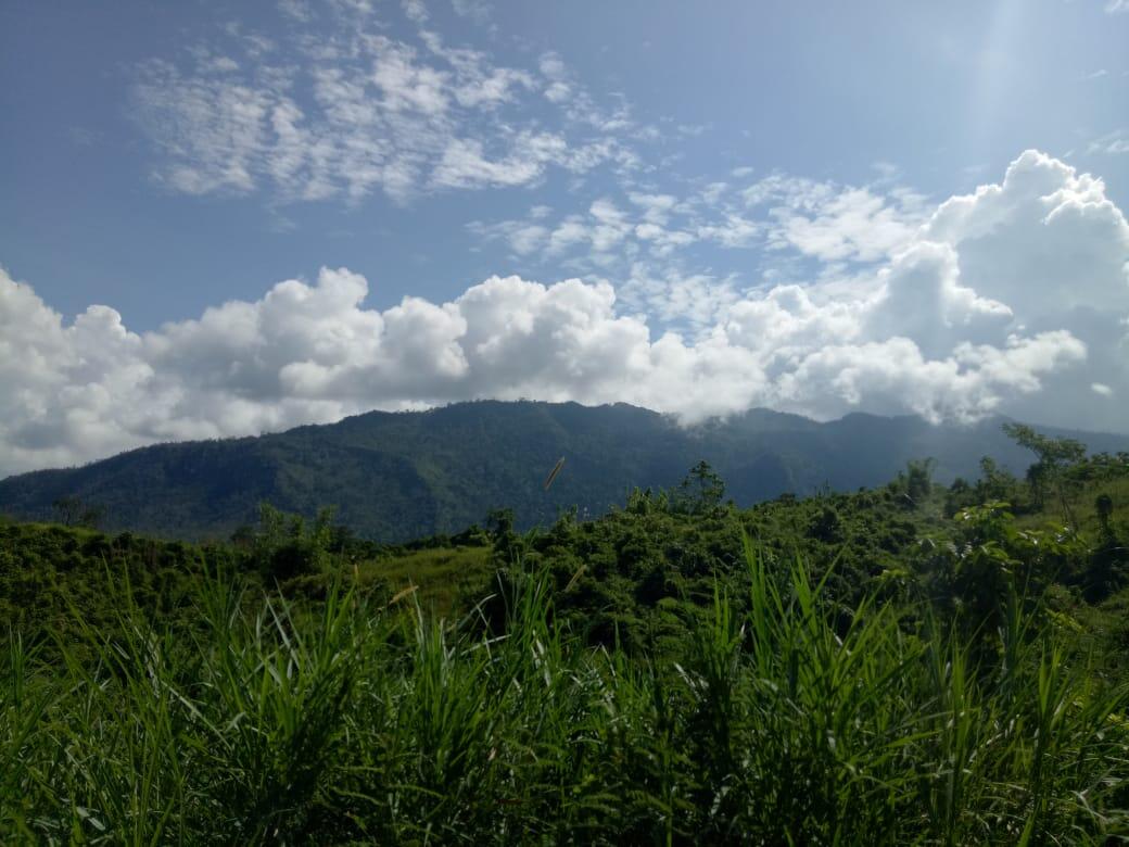 Penumpang Ghaib Di Perbatasan Gunung Rambutan