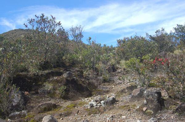 4 Misteri Gunung Lawu, Gunung Paling Angker di Pulau Jawa