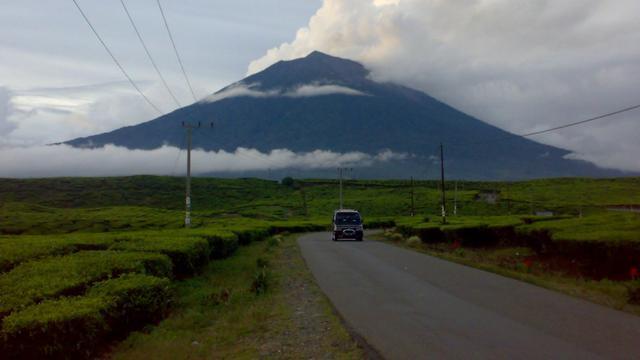 Bertemu Teman "Tak Diundang" Diatas Gunung