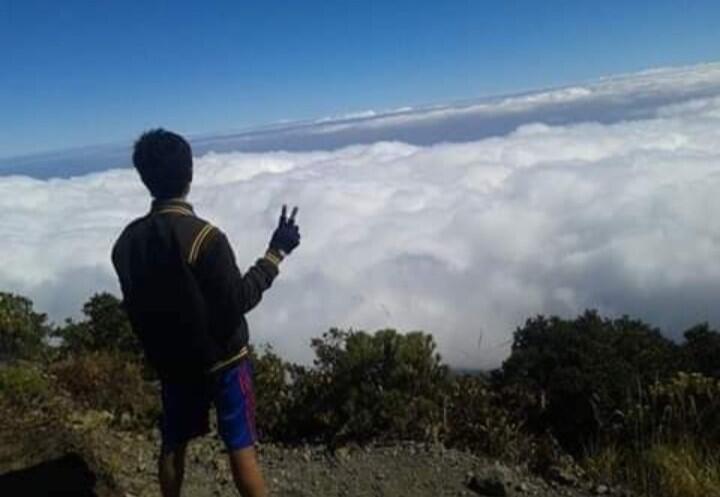 Bisikan di Puncak Surga Edelwis