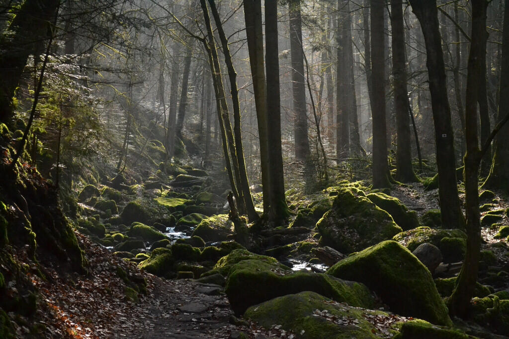 10 Tempat Berhantu di Jerman Tapi Layak Dikunjungi