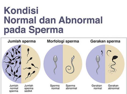 &#91;ANTI TABU&#93;Tips Menjaga &amp; Merawat &quot;SI JHONY&quot;, Agan-agan Wajib masuk!