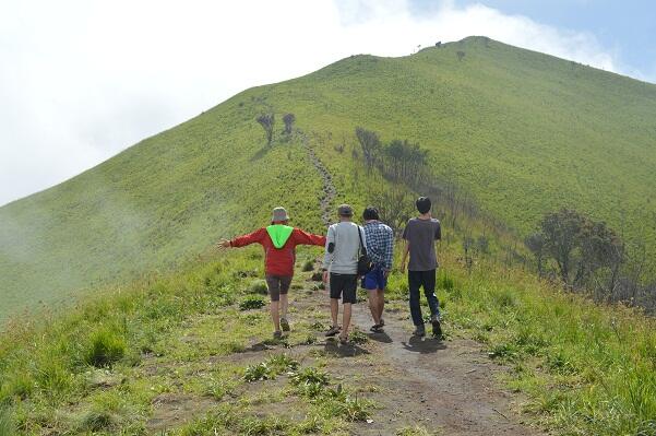 Hutan Manding Jalur Suwanting