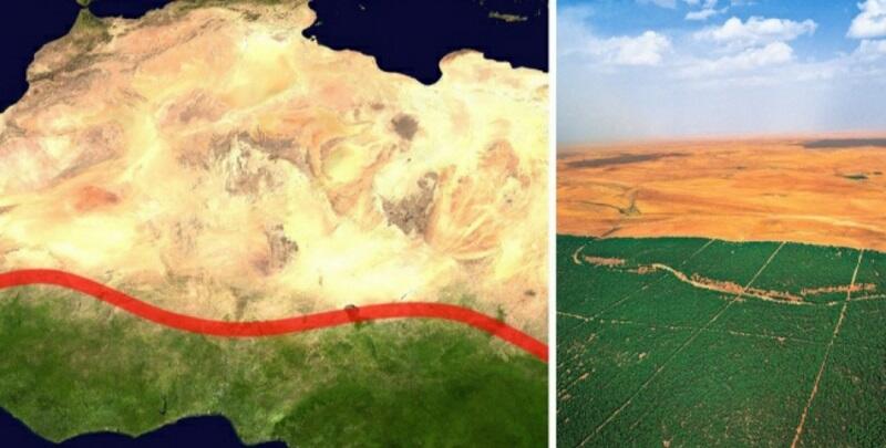 Orang di Afrika Membangun "The Great Green Wall",Apa Kegunaannya?