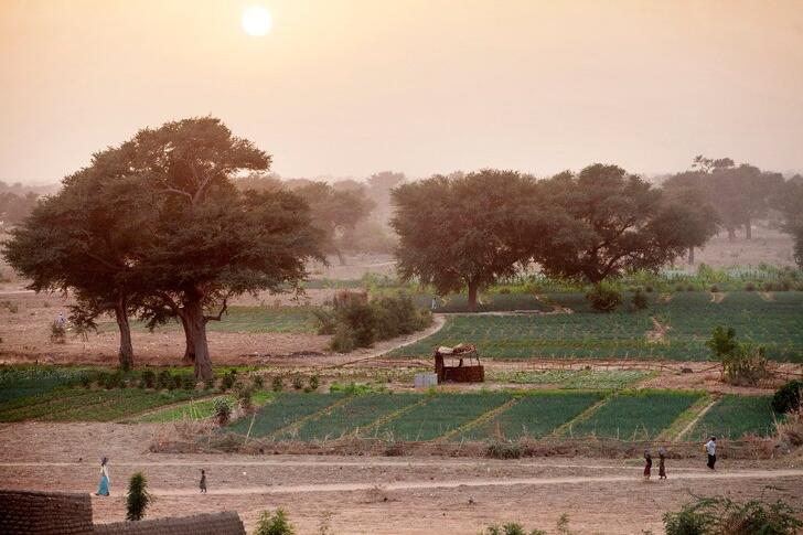 Orang di Afrika Membangun "The Great Green Wall",Apa Kegunaannya?