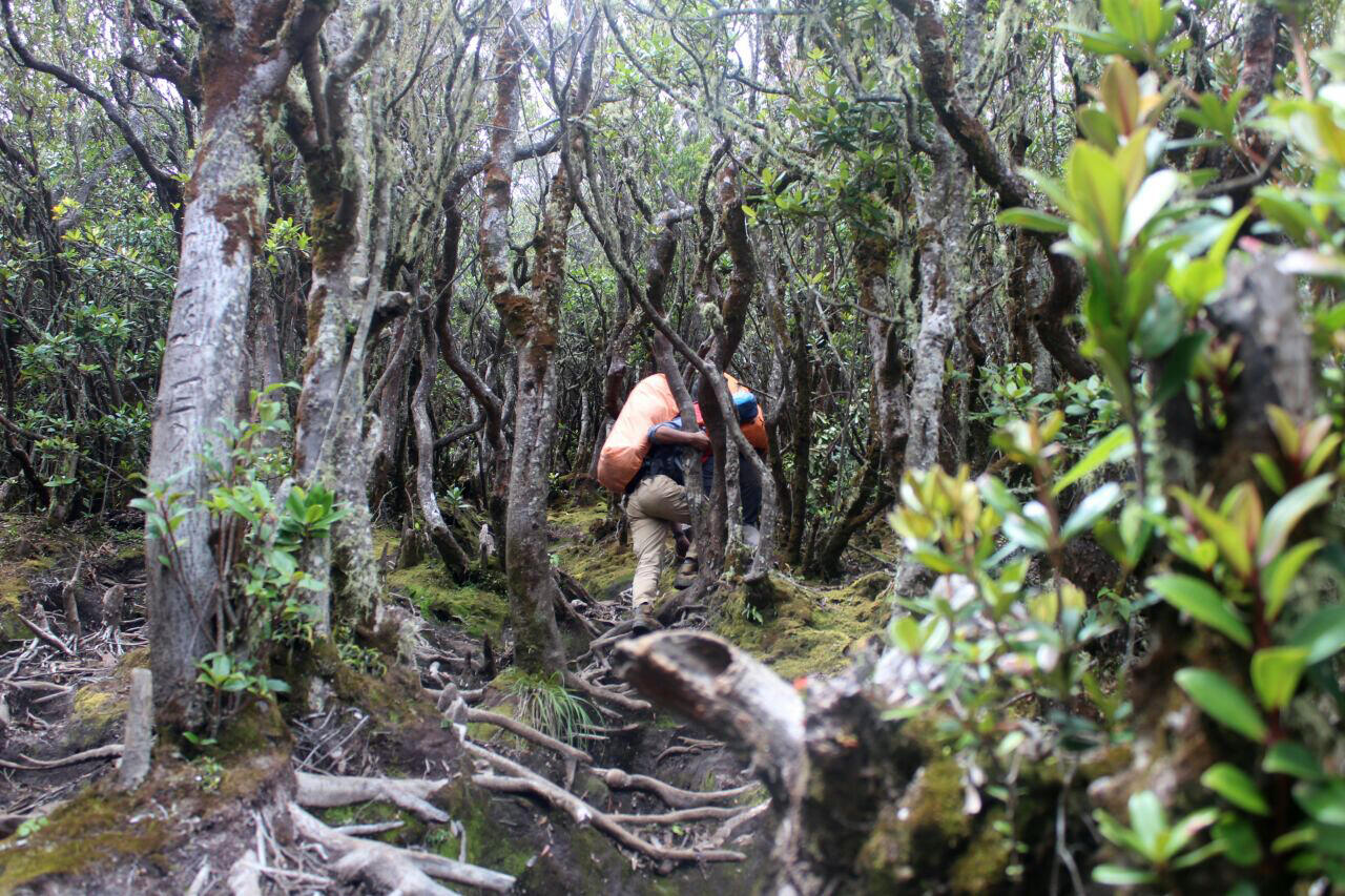 Ditemani Dedemit Gunung Api Dempo Selama 2 Malam (True Story)