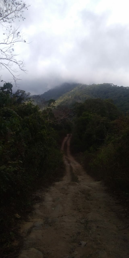 Laku Mbisu Sang Penunjuk Jalan, di Gunung Lawu. 