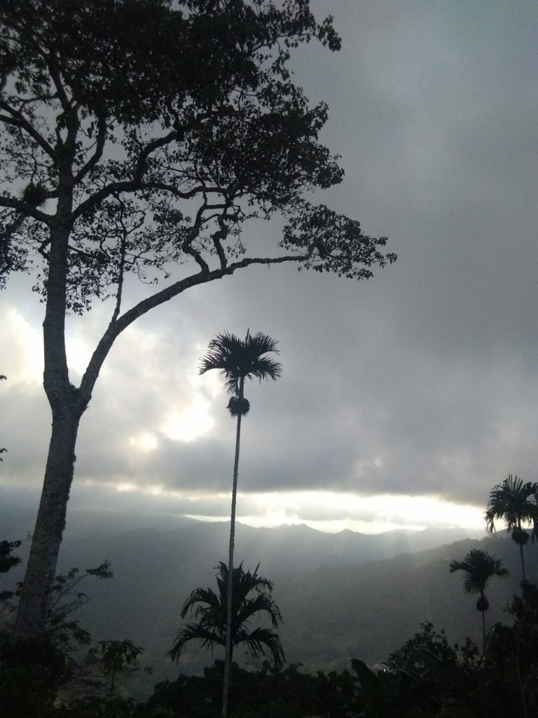 Laku Mbisu Sang Penunjuk Jalan, di Gunung Lawu. 