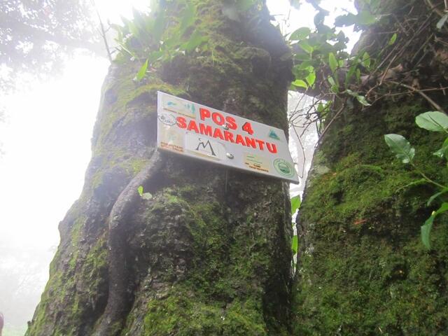 PESAN DARI 'PUNCAK SURONO'