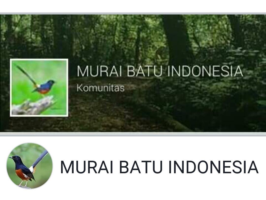 Komunitas Seru Dan Informatif Pilihan Cowok Penyuka Burung Dan Mata Kail