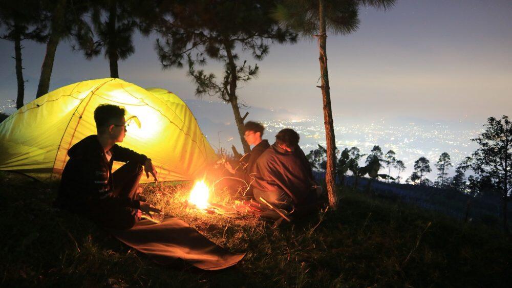 Haluan Indah Yang Mematikan Ditengah Hutan