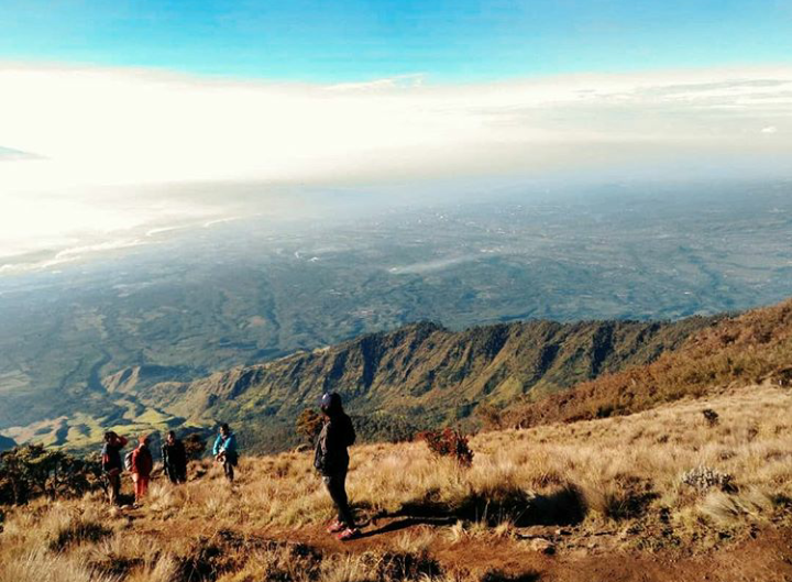 Disetubuhi Jin Penunggu Pohon Di Gunung Arjuna Karena Sebuah Perjanjian