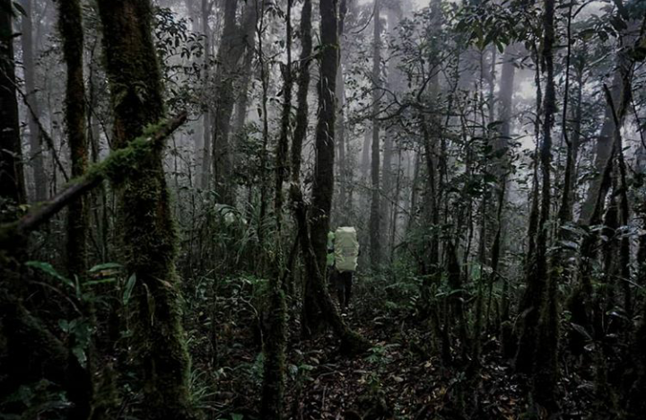 Disetubuhi Jin Penunggu Pohon Di Gunung Arjuna Karena Sebuah Perjanjian