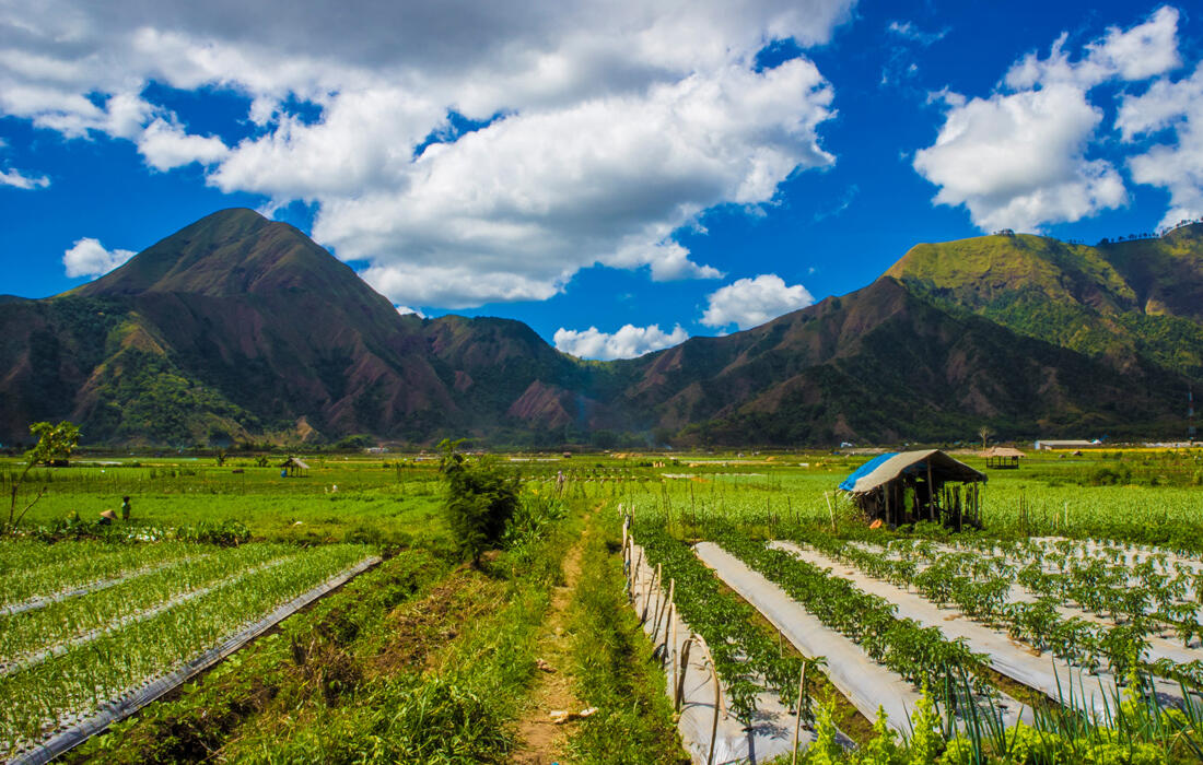 Desa Sembalun,Permata Mungil Dalam Pelukan Rinjani