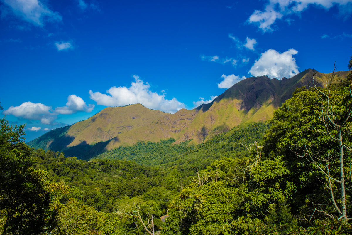 Desa Sembalun,Permata Mungil Dalam Pelukan Rinjani