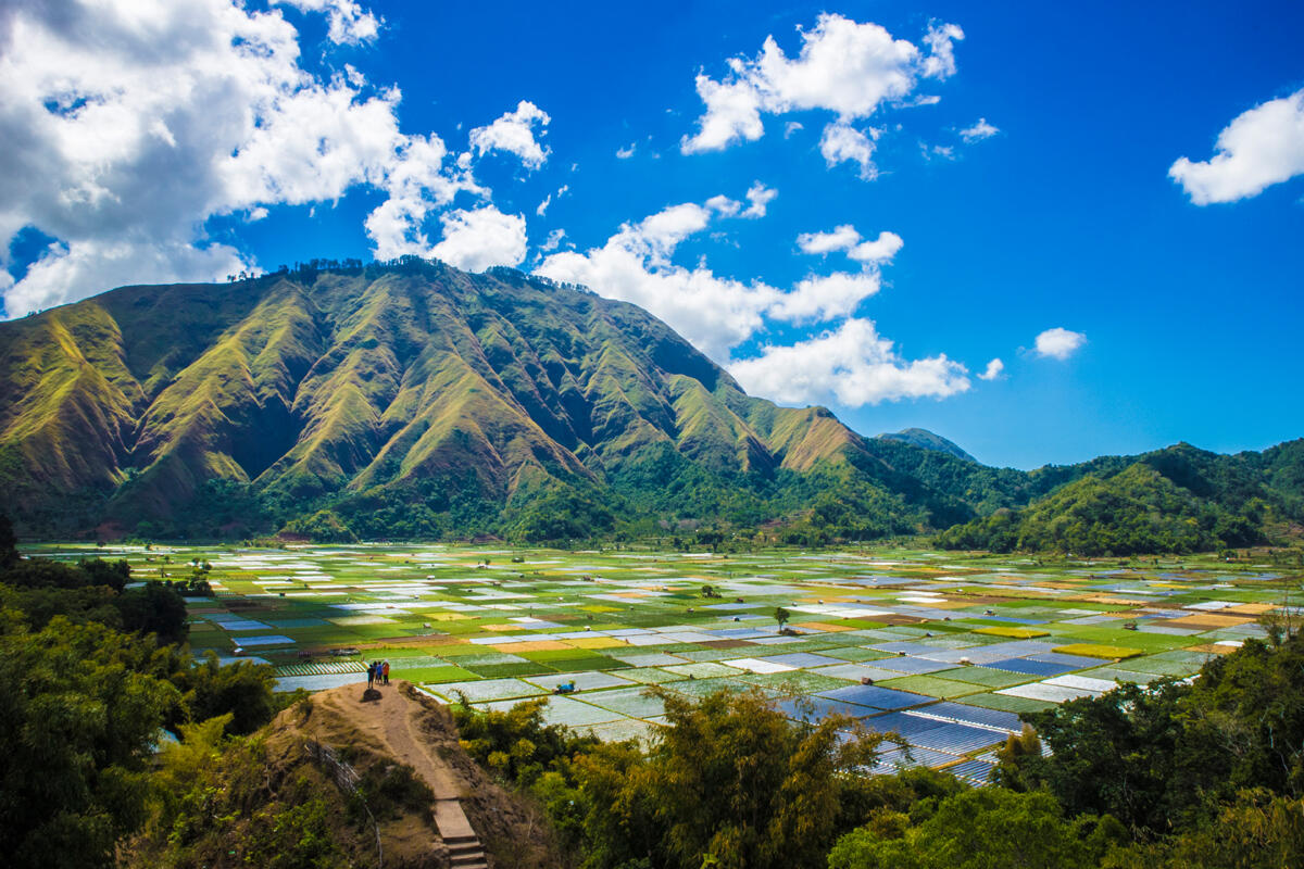 Desa Sembalun,Permata Mungil Dalam Pelukan Rinjani