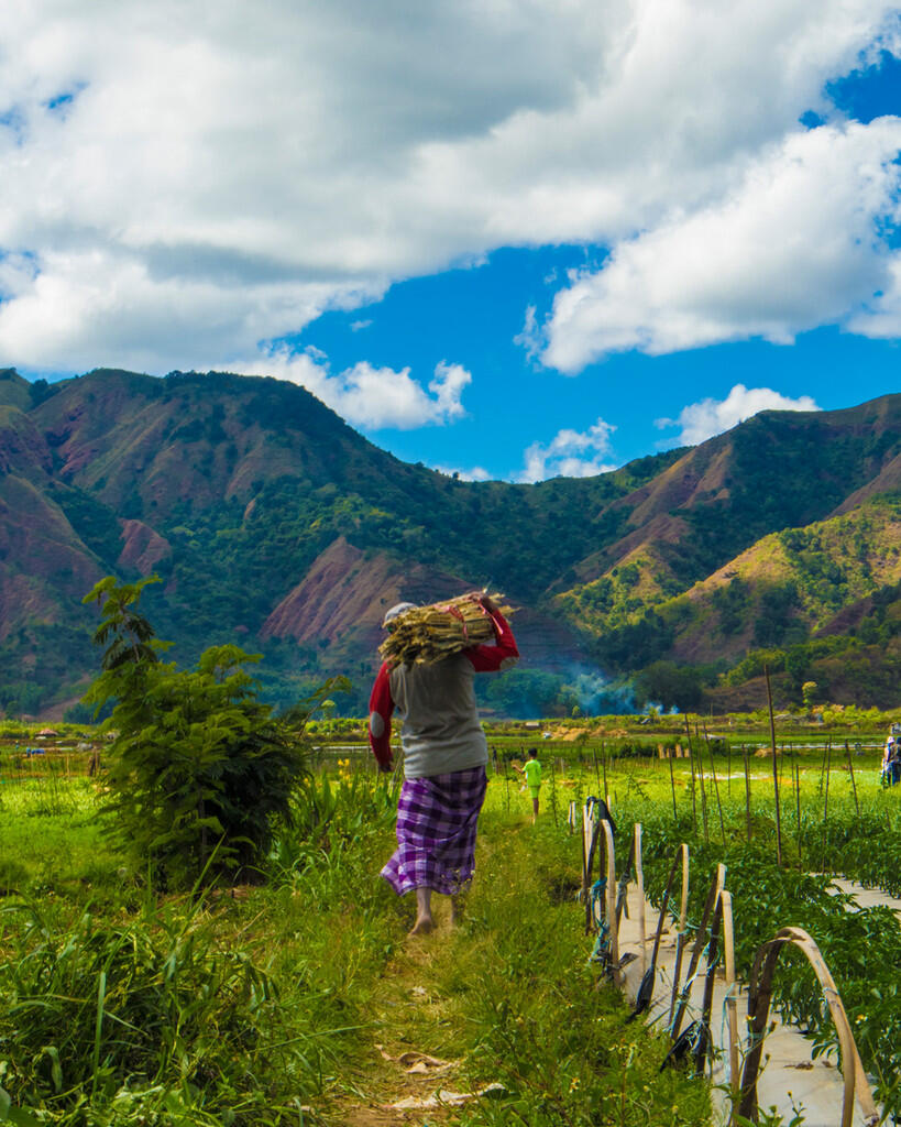 Desa Sembalun,Permata Mungil Dalam Pelukan Rinjani