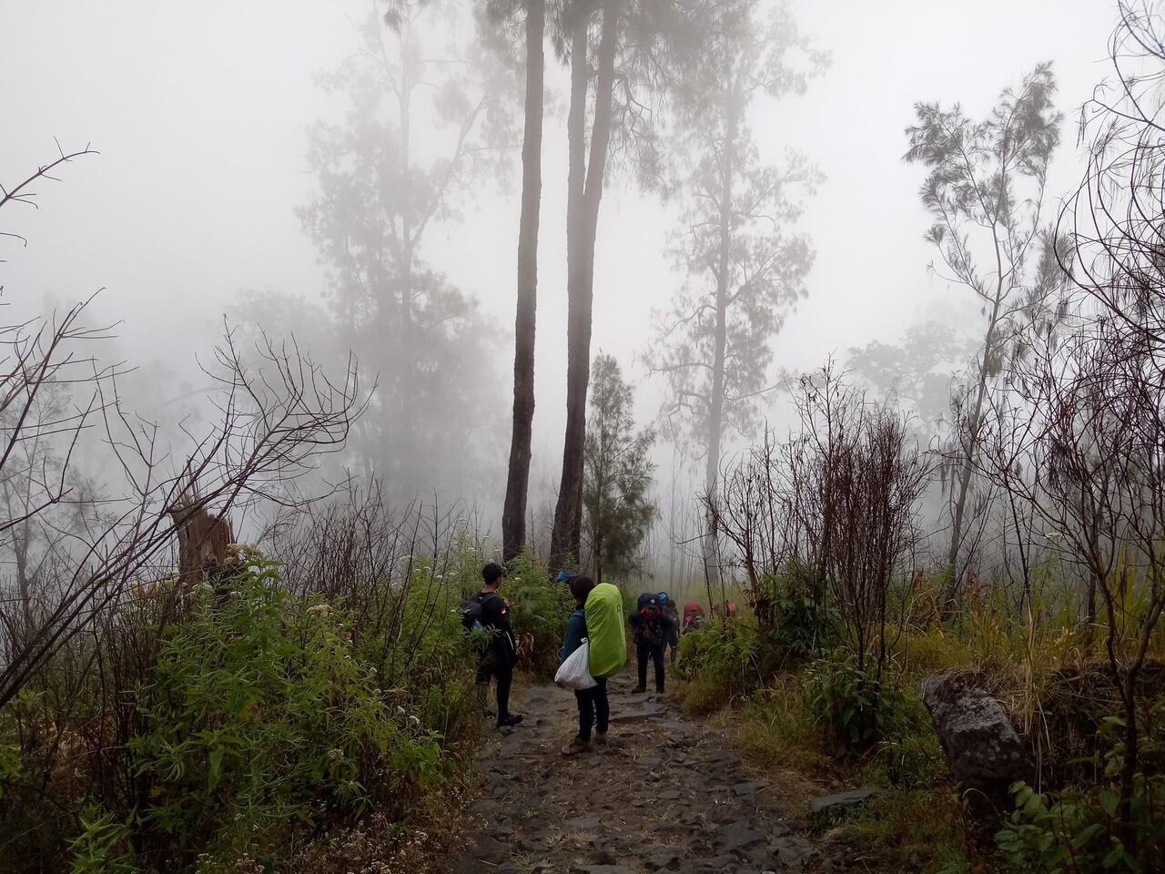 Kisah Pendakian Alas Lali Jiwo di Gunung Arjuno 