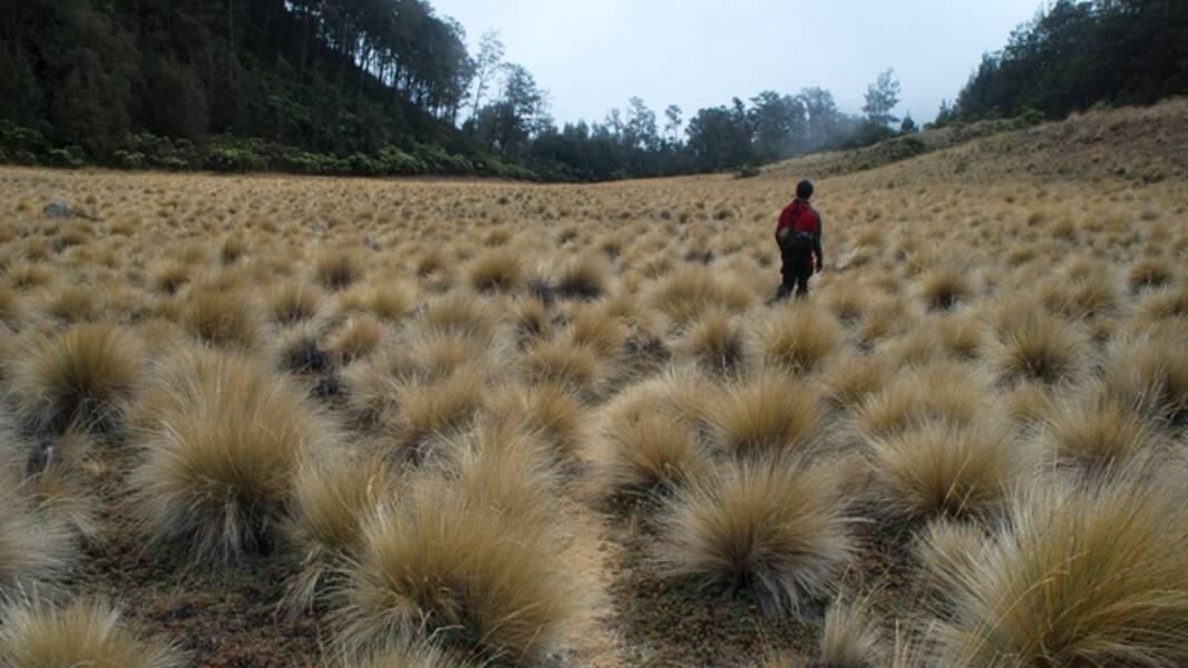 Setengah Jalan Menuju Puncak