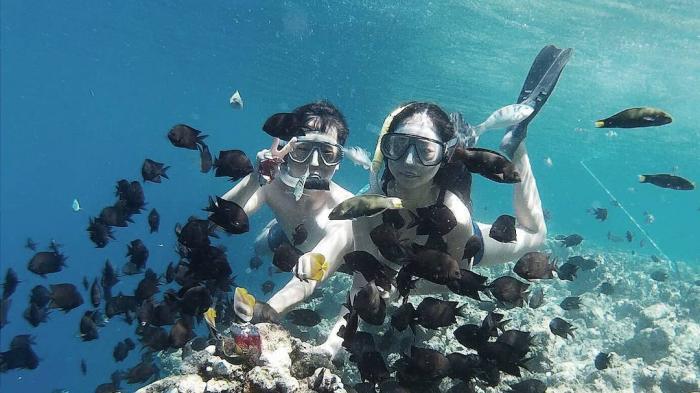 &#91;Ayo Menyelam!&#93; Apa Sih Bedanya Snorkeling dengan Diving?