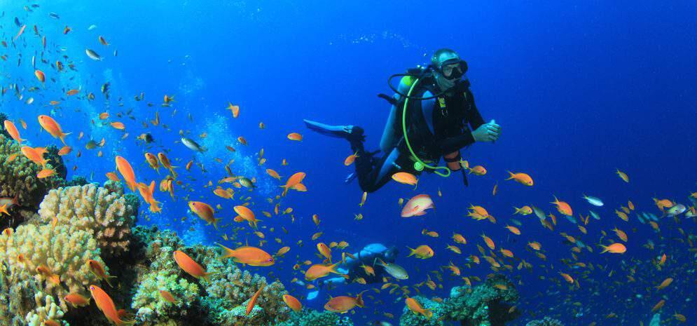 &#91;Ayo Menyelam!&#93; Apa Sih Bedanya Snorkeling dengan Diving?