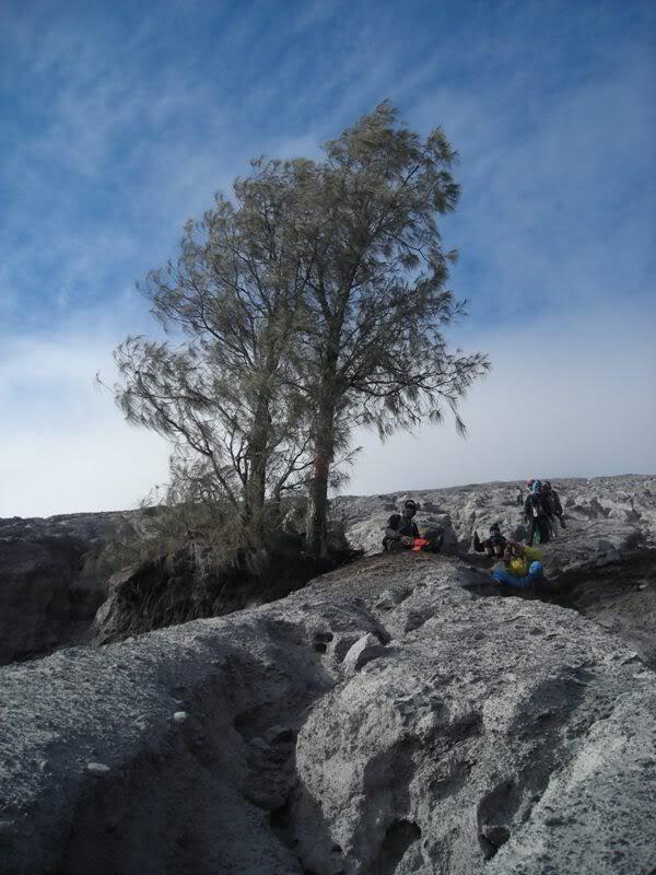 Pengalaman Horor di Gunung Semeru, Nyawa Taruhannya!