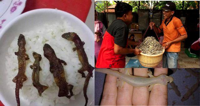 Antara Jijik Atau Lezat, Nih Cobain Cicak Panggang Yang Lagi Populer di Vietnam