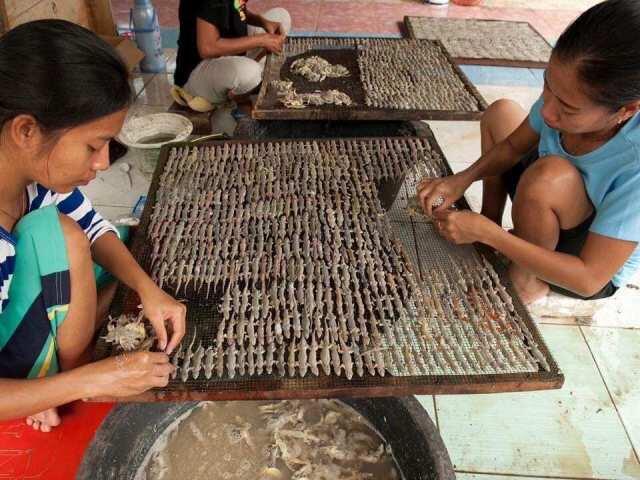 Antara Jijik Atau Lezat, Nih Cobain Cicak Panggang Yang Lagi Populer di Vietnam