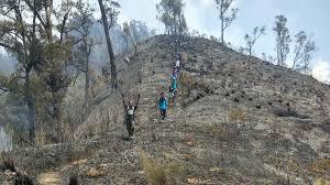 Akibat Melanggar Pantangan di Gunung Ardjuna