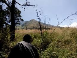 Akibat Melanggar Pantangan di Gunung Ardjuna