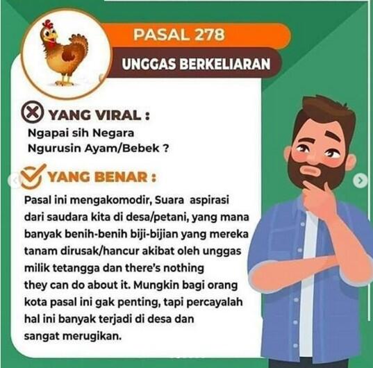 Ayam Tetangga Rusak Kebun, Emak-emak Ini Ribut Tagih Denda 10 Juta Sesuai RKHUP