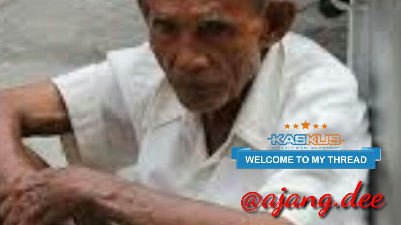Kota yang sombong, kake ini menjerit pindah rumah