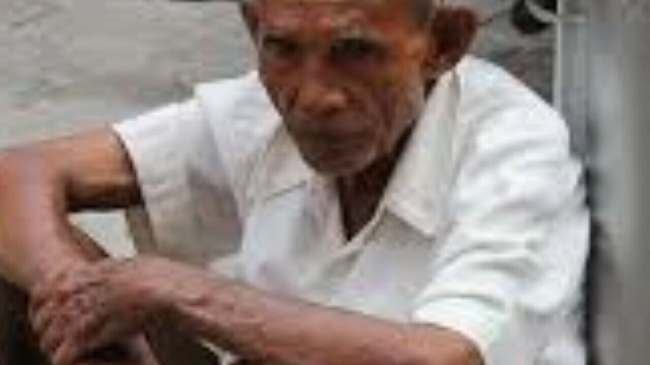 Kota yang sombong, kake ini menjerit pindah rumah