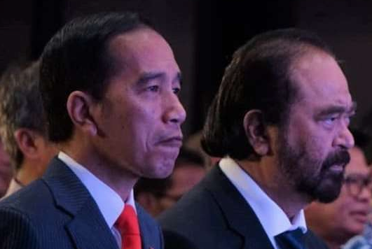 Surya Paloh Klaim Jokowi dan Parpol Pemerintah Sepakat Tak Perlu Perppu KPK