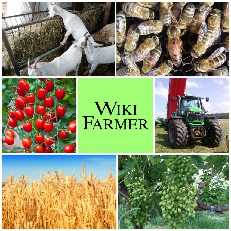WIKIFARMER - Kembaran si Wikipedia Khusus tentang Berkebun dan Beternak
