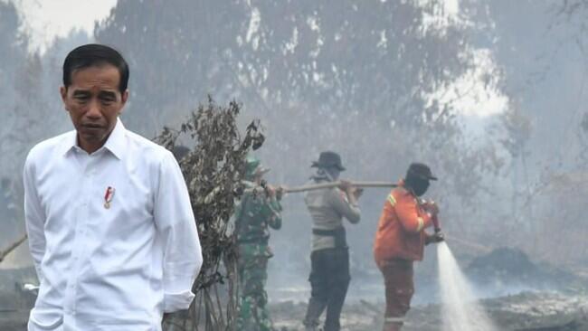 Viral Foto Air Mata Jokowi di Area Karhutla, Begini Faktanya