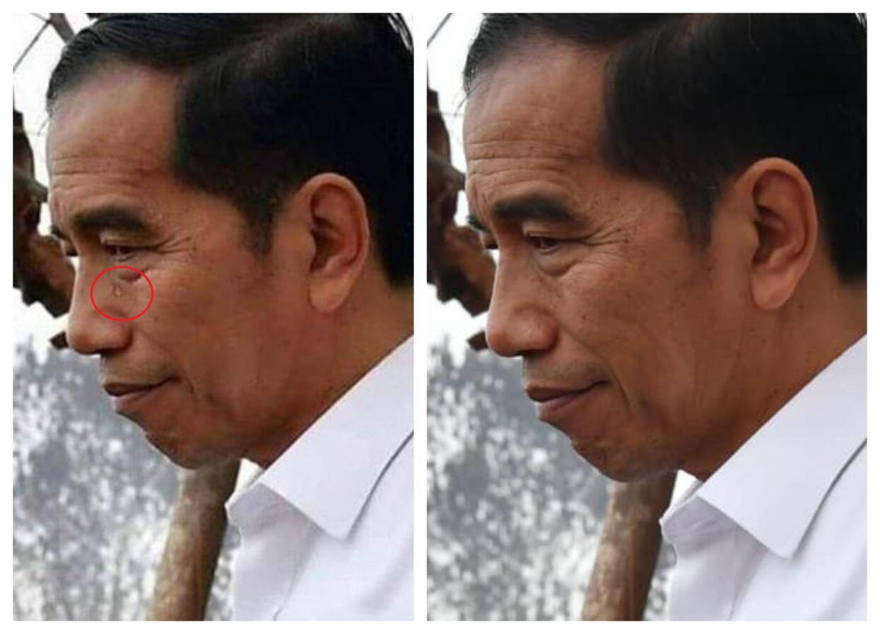 Viral Foto Air Mata Jokowi di Area Karhutla, Begini Faktanya