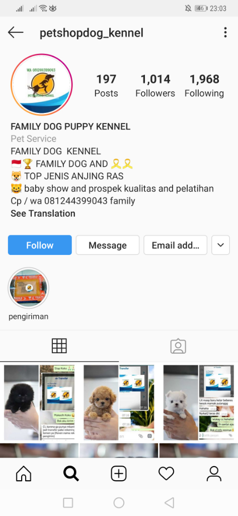 PENIPUAN PETSHOP