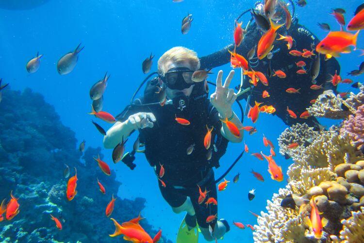Mengenal Kota Sharm el-Sheikh, Bali-nya Mesir