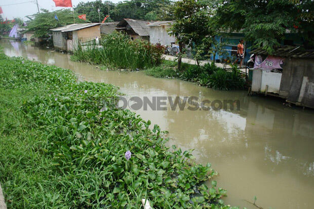 Ratusan Warga BAB di Jamban, Ini Respons Lurah Tanjung Duren Utara