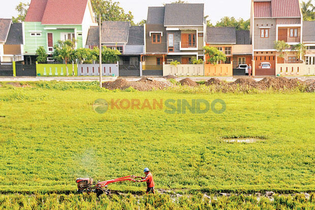 Cegah Alih Fungsi, Pemerintah Beri Insentif ke Pemilik Lahan Pertanian Pangan