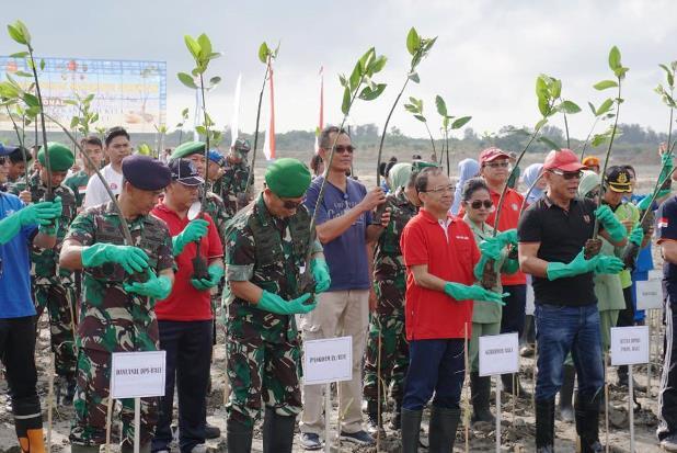 Pelindo III-TNI Sinergi Tanam Ratusan Ribu Bibit Bakau